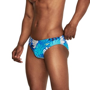 Printed Solar Brief 2"
