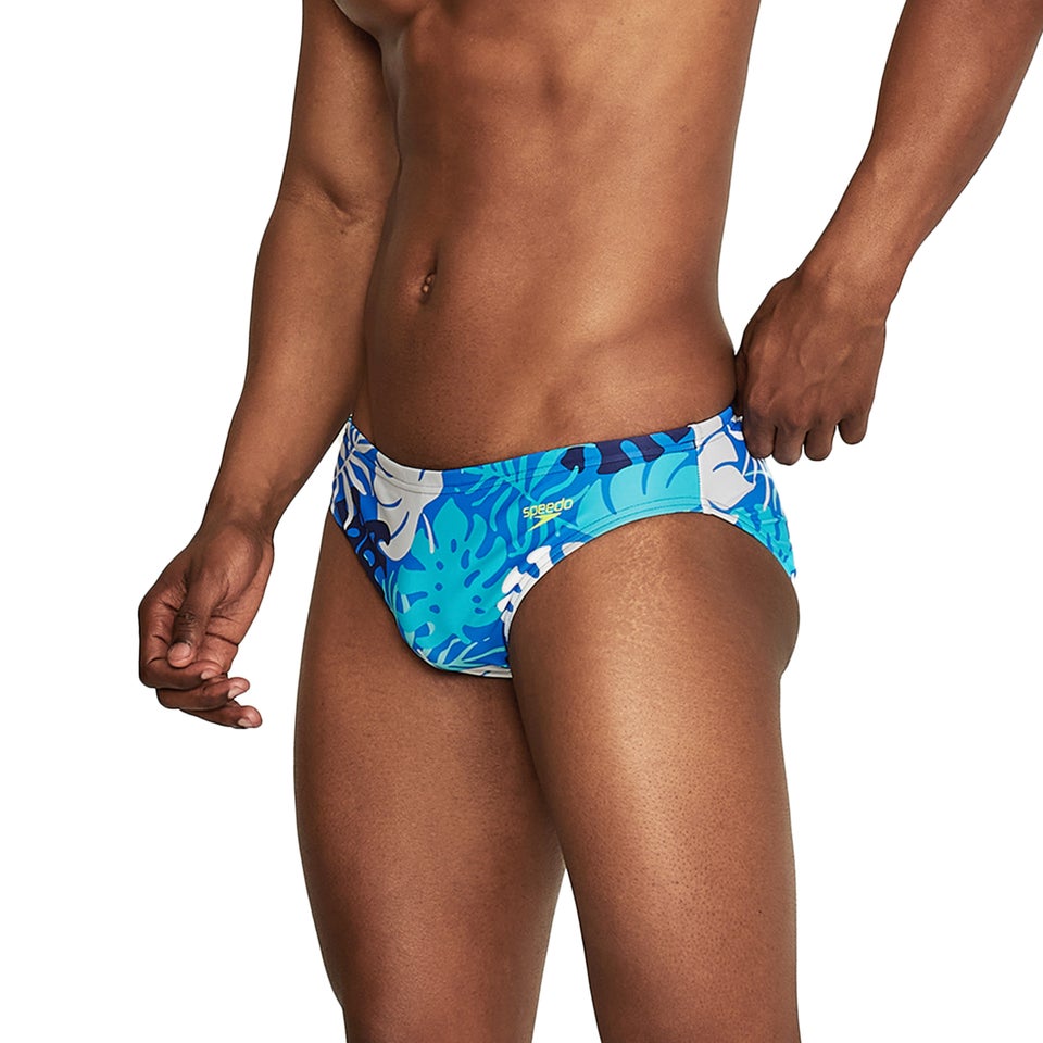 Printed Solar Brief 2"