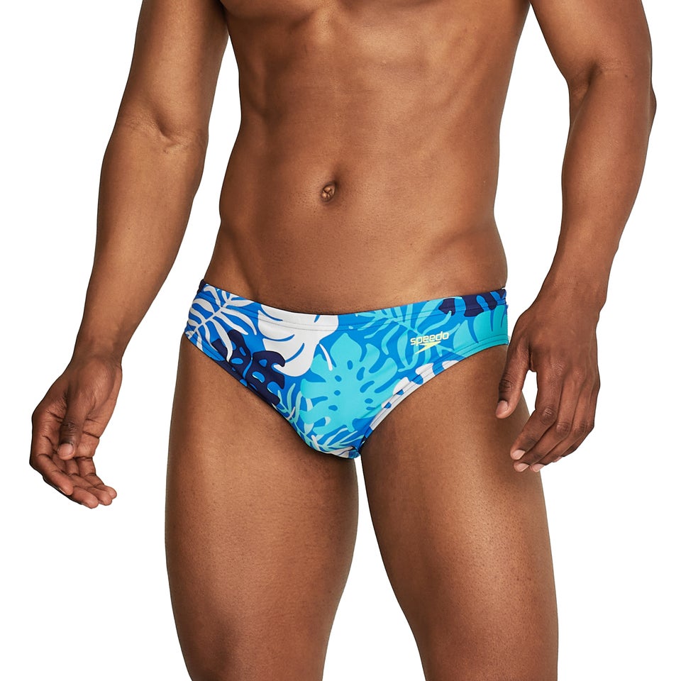 Printed Solar Brief 2"