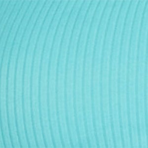 Women's Rib Logo Bikini Top Blue