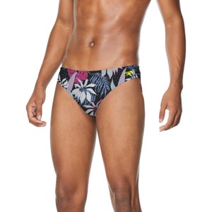 Printed Solar Brief 2"