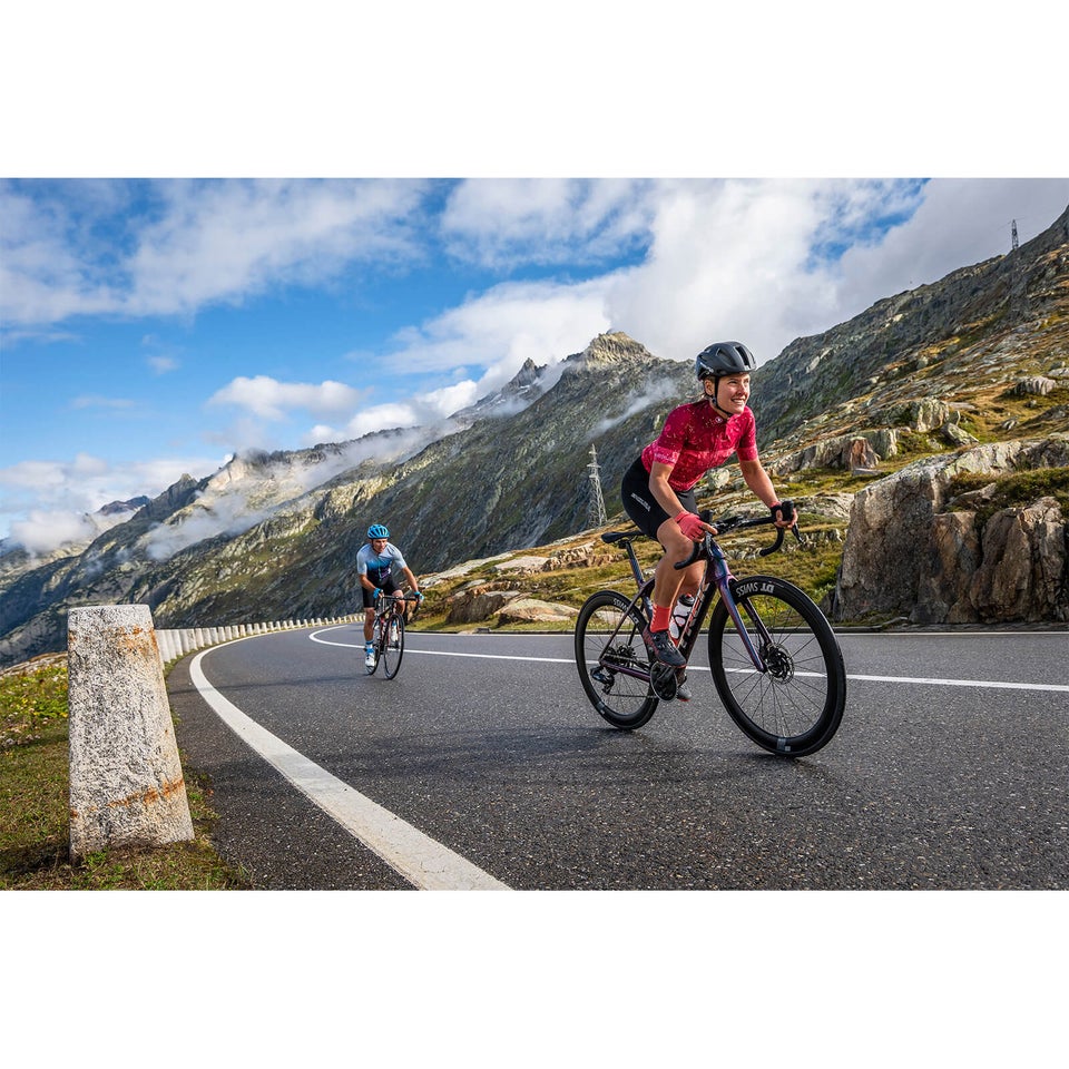 Women's Paisley S/S Jersey LTD - Berry