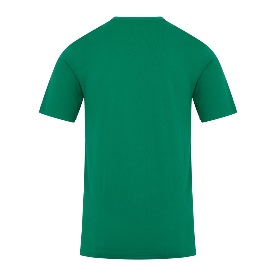 Men's Edale Mtn T Shirt Green