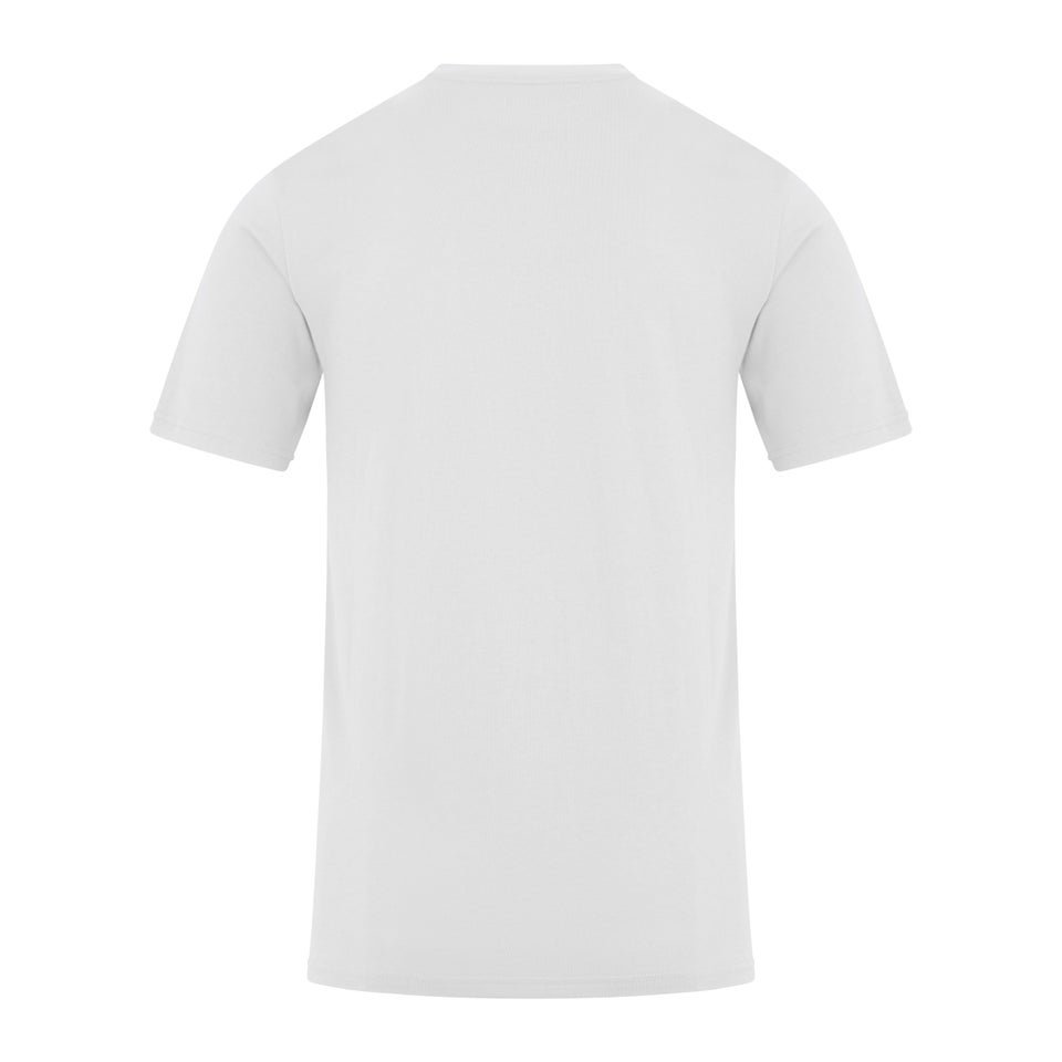 Men's Organic Colour Logo T-Shirt Grey