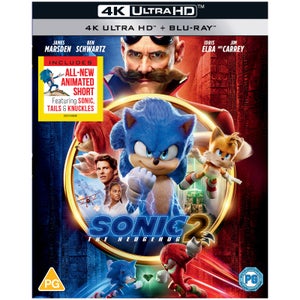 Sonic The Hedgehog 2