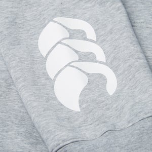 CANTERBURY CLUB HOODY AF GREY