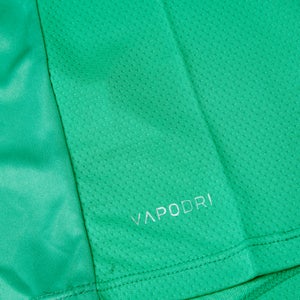 Junior Unisex Ireland Superlight Training T-Shirt Green