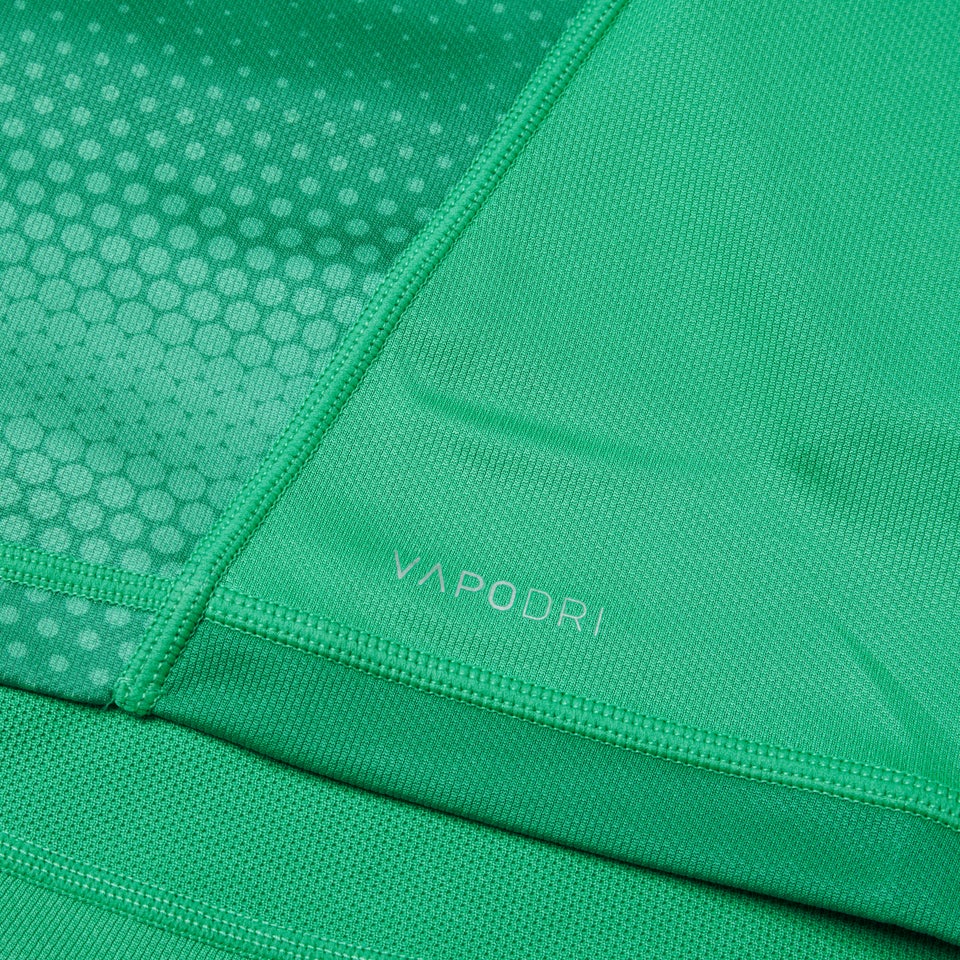 Womens Ireland Vapodri Home Pro Jersey Green