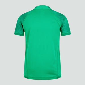 Junior Unisex Ireland Vapodri Home Pro Jersey Green