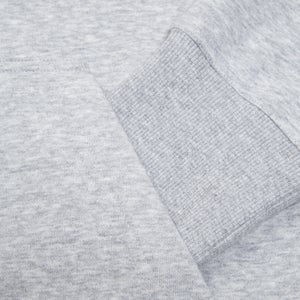 Mens CCC Sport Dept FZ Hoodie Grey