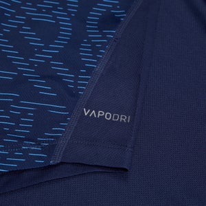 Mens Ireland Poly Training Singlet Blue