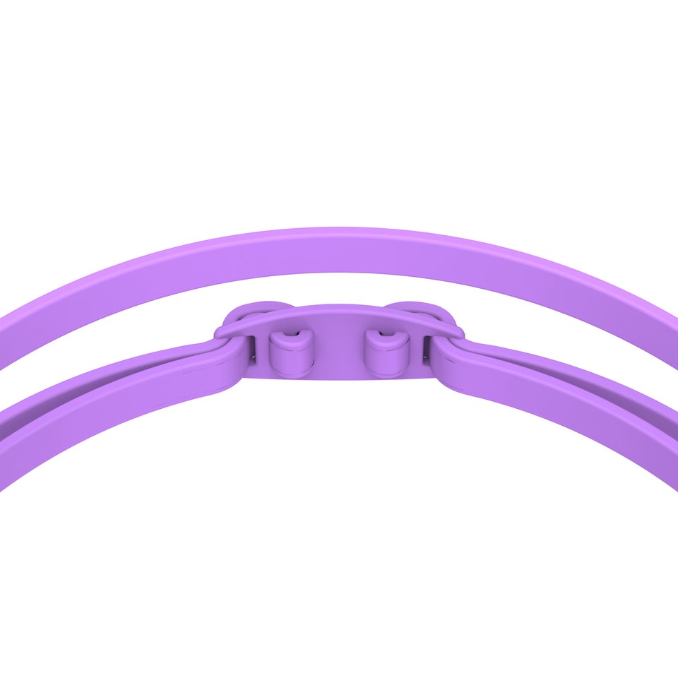 Vanquisher 2.0 Mirrored Goggles Purple