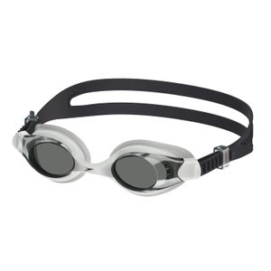 Hydrosity Mirrored Goggles Gray