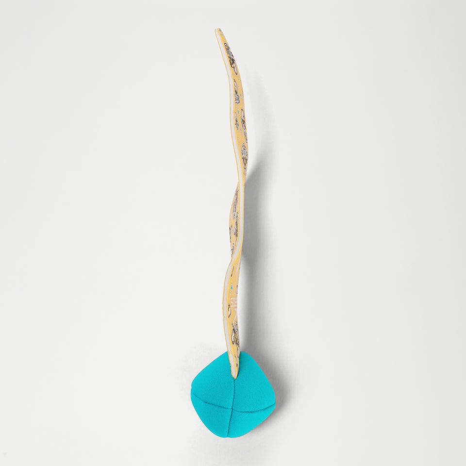 Balles de plongée Learn to Swim multicolore