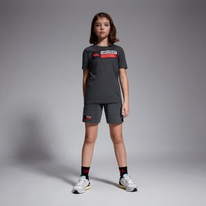 CANTERBURY COTTON LOGO TEE JU GREY