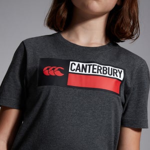 CANTERBURY COTTON LOGO TEE JU GREY