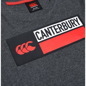 CANTERBURY COTTON LOGO TEE JU GREY