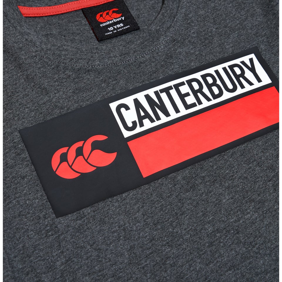 CANTERBURY COTTON LOGO TEE JU GREY
