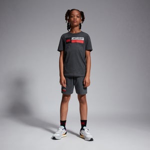 CANTERBURY COTTON LOGO TEE JU GREY