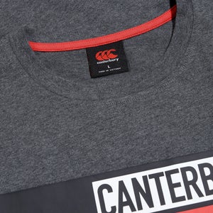 Mens Cotton Logo Tee Grey Marl