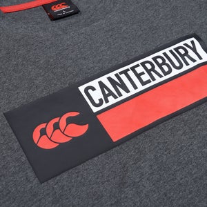 Mens Cotton Logo Tee Grey Marl