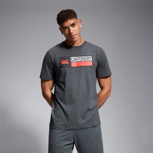 Mens Cotton Logo Tee Grey Marl