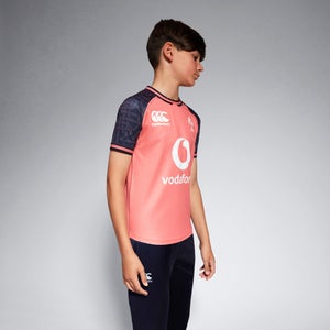 Junior Unisex Ireland Training Pro Jersey Junior Pink/Blue