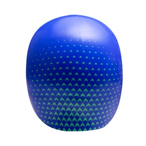 SPEEDO FSTSKN CMPTTN CP 400