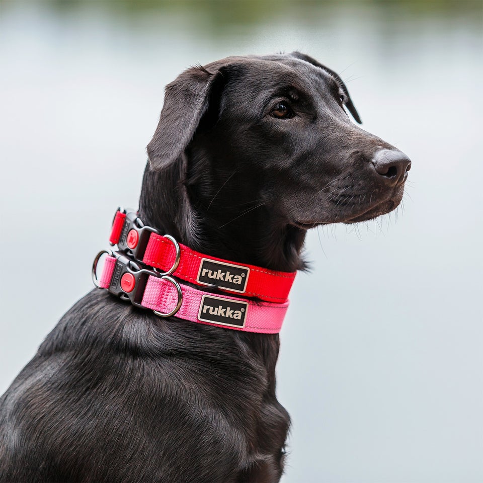 Bliss Collar - Classic Red