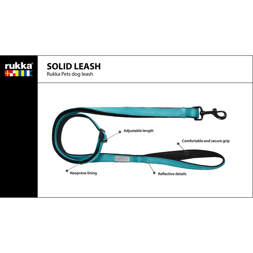 Solid Leash - Turquoise