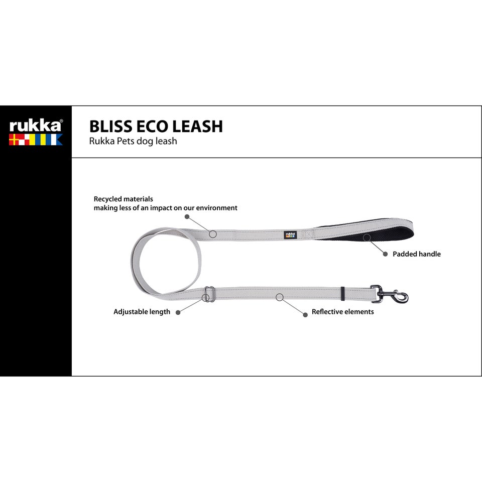 Bliss Eco Leash - Silver