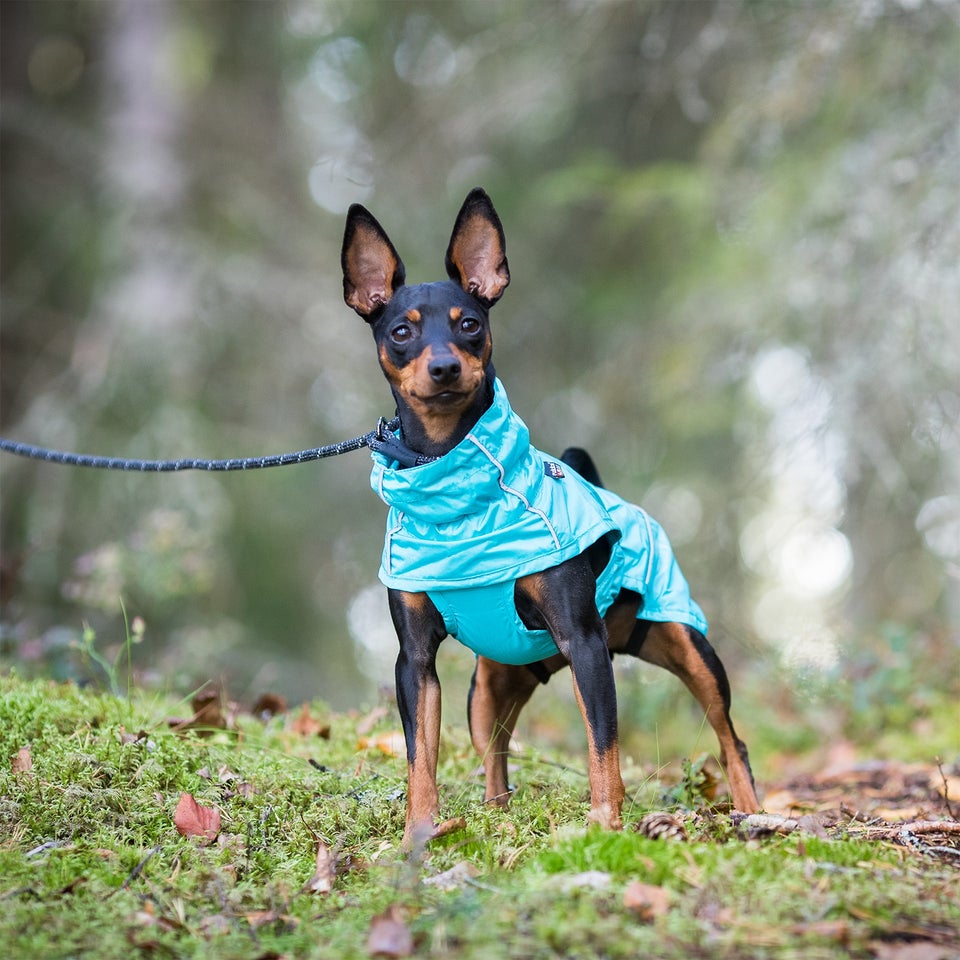 Hase Raincoat - Turquoise
