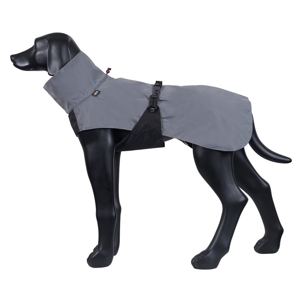 Shine Raincoat - Silver