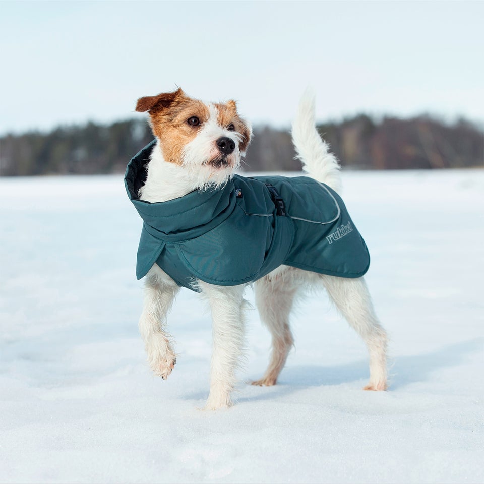 Stormy Coat - Olive