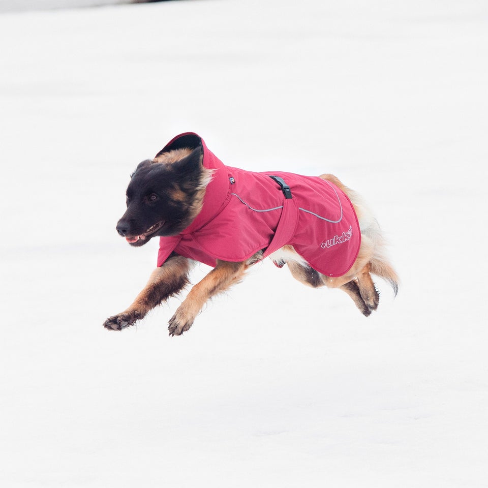 Stormy Coat - Burgundy