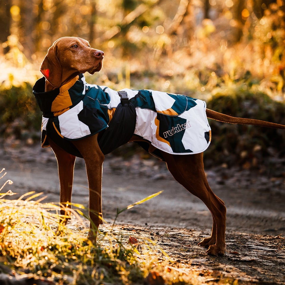 Stormy Coat Camo - Antique Green