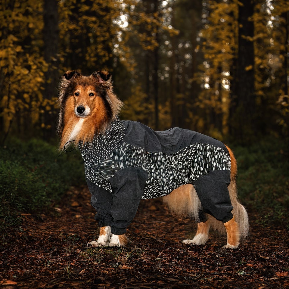 Flash Overall - Anthracite