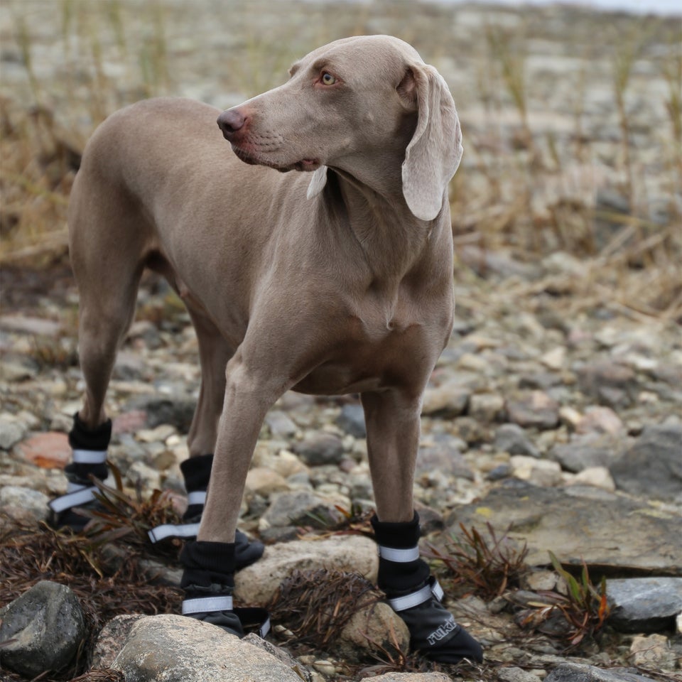 Thermal Winter Shoes - Black