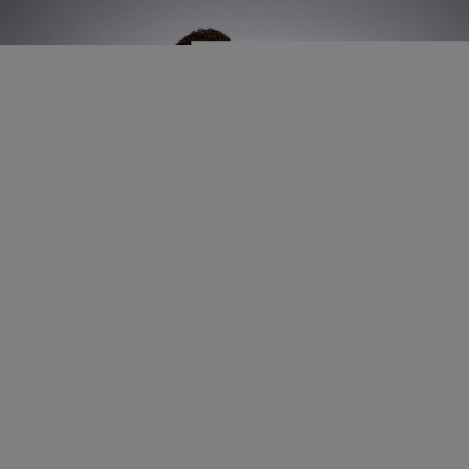 CANTERBURY SPORT DEPT. SS T-SHIRT AU GREY