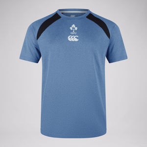 Mens Ireland Vapodri Elite Training Tee Blue