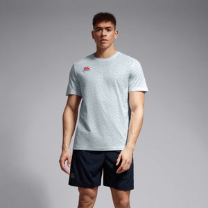 Mens Small Logo Cotton Tee Grey