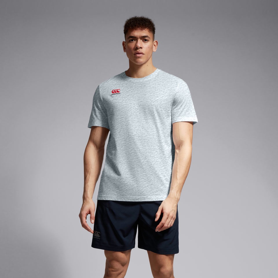 Mens Small Logo Cotton Tee Grey