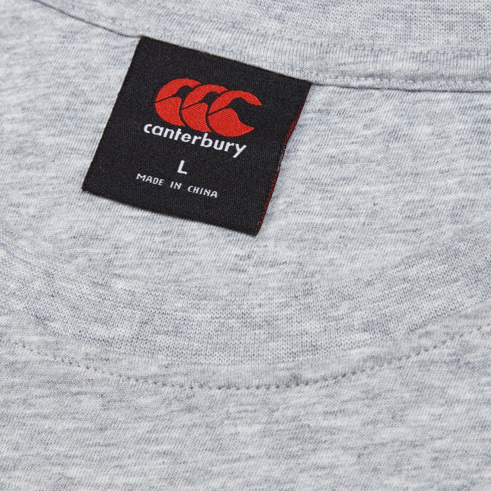 Mens Small Logo Cotton Tee Grey