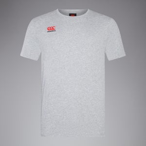 Mens Small Logo Cotton Tee Grey