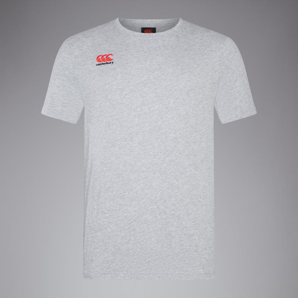 Mens Small Logo Cotton Tee Grey