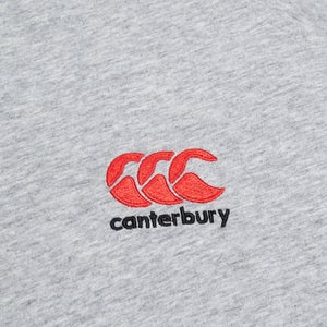 Mens Small Logo Cotton Tee Grey