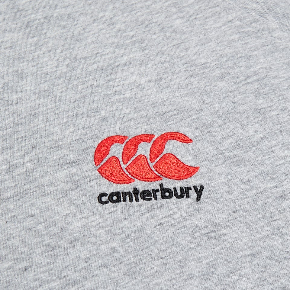 Mens Small Logo Cotton Tee Grey