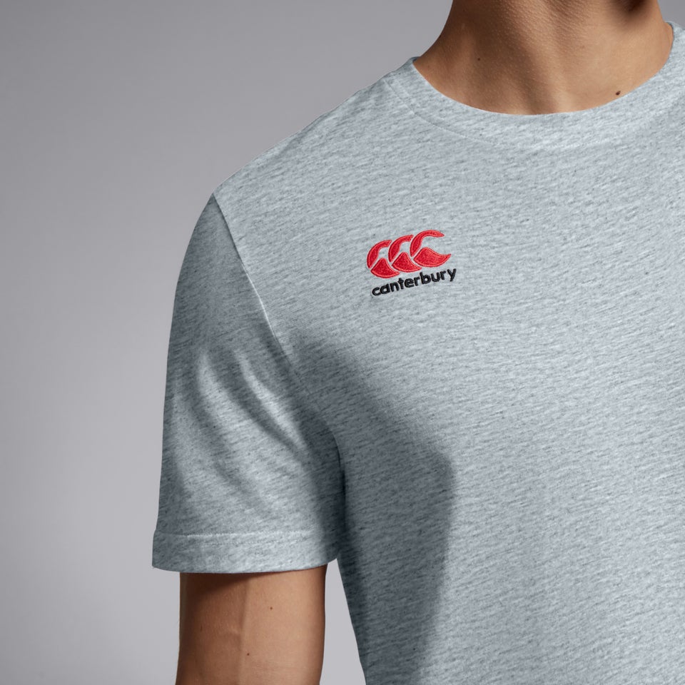 Mens Small Logo Cotton Tee Grey