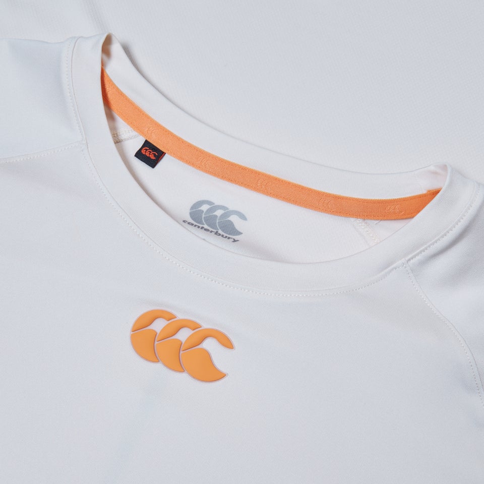 Mens Vapodri Superlight Tee Grey