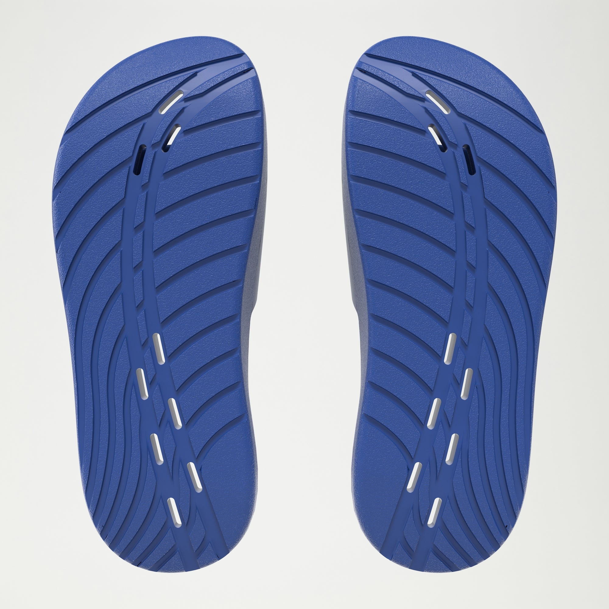 Men's Speedo Slide Navy/White